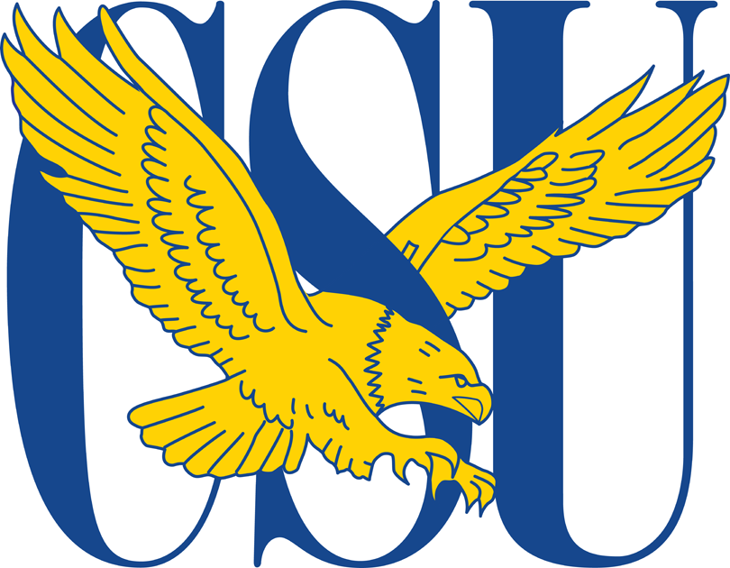 Coppin State Eagles 2004-2016 Primary Logo DIY iron on transfer (heat transfer)